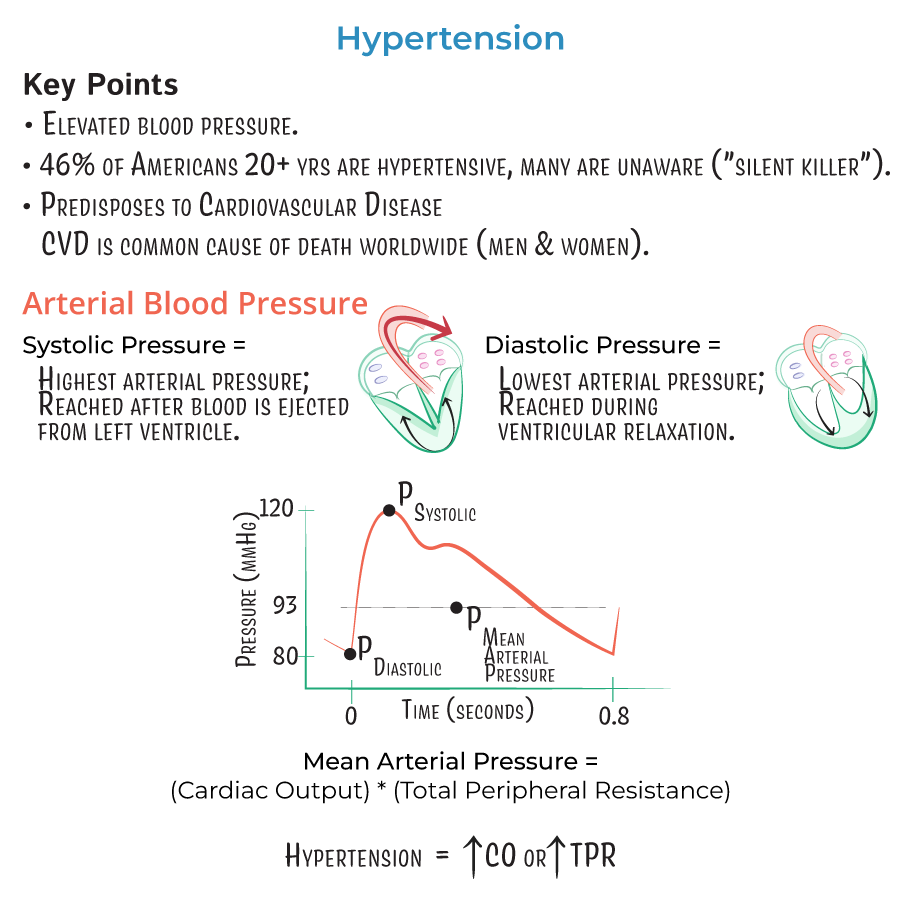 Hypertension definitions