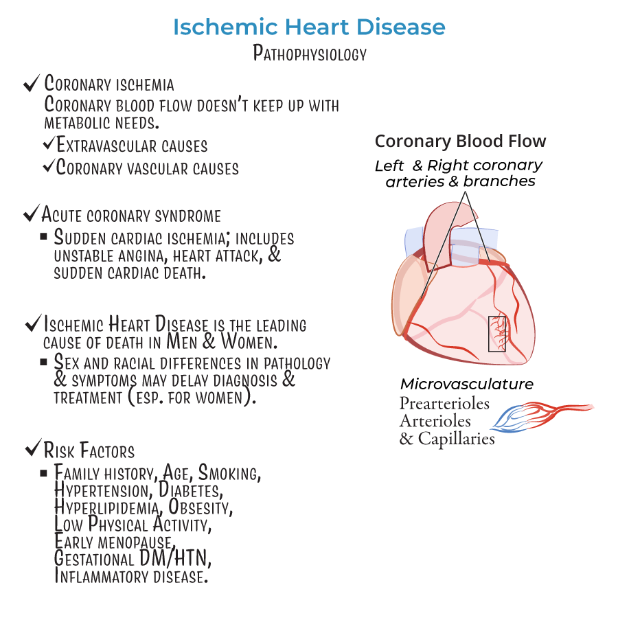Ischemic Heart Disease pathophysiology, acute coronary syndrome, coronary artery disease, 