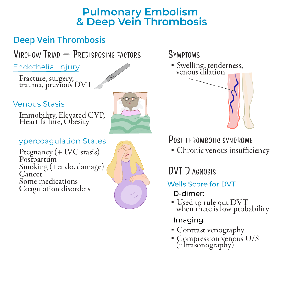 Pulmonary Embolism & Deep Vein Thrombosis