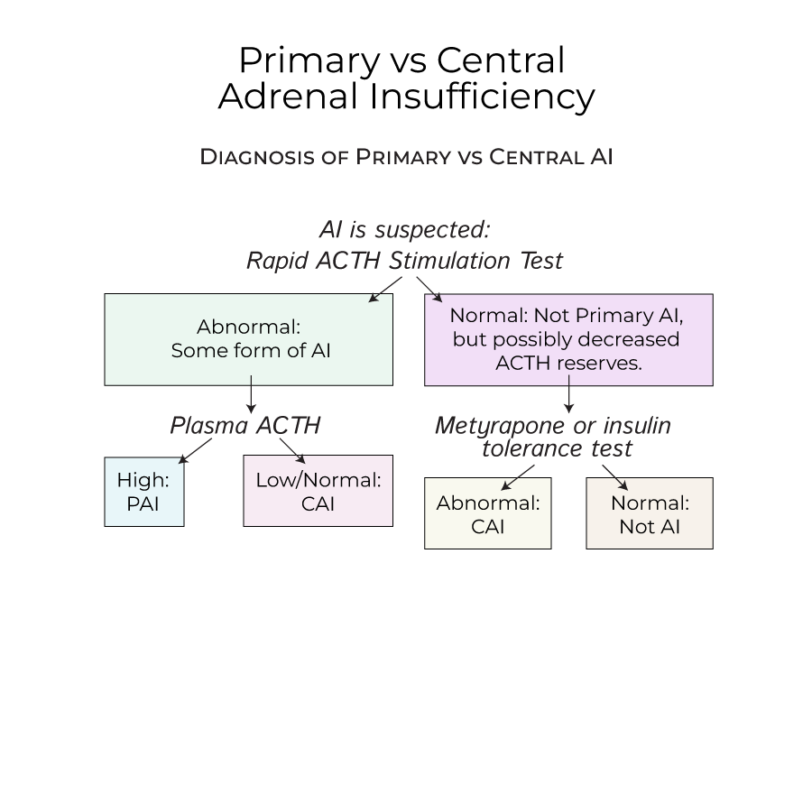 primary vs central adrenal insufficiency