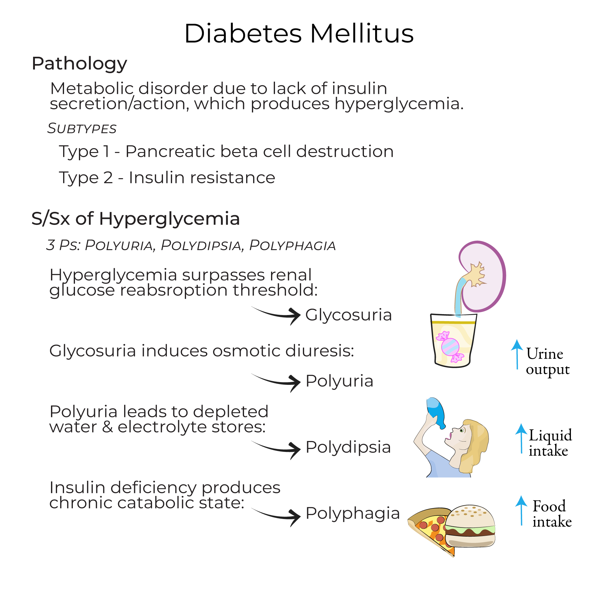 Diabetes Mellitus - Types 1 & 2