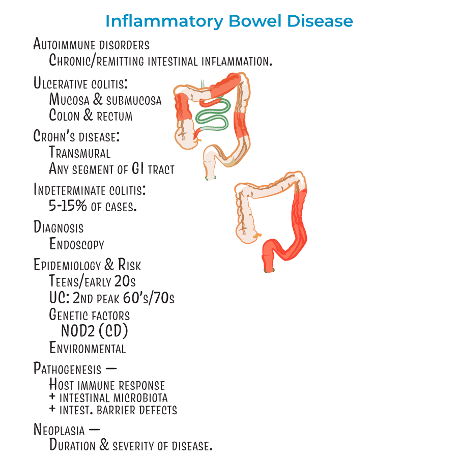 Inflammatory Bowel Disease, crohn disease, inflammatory bowel disease