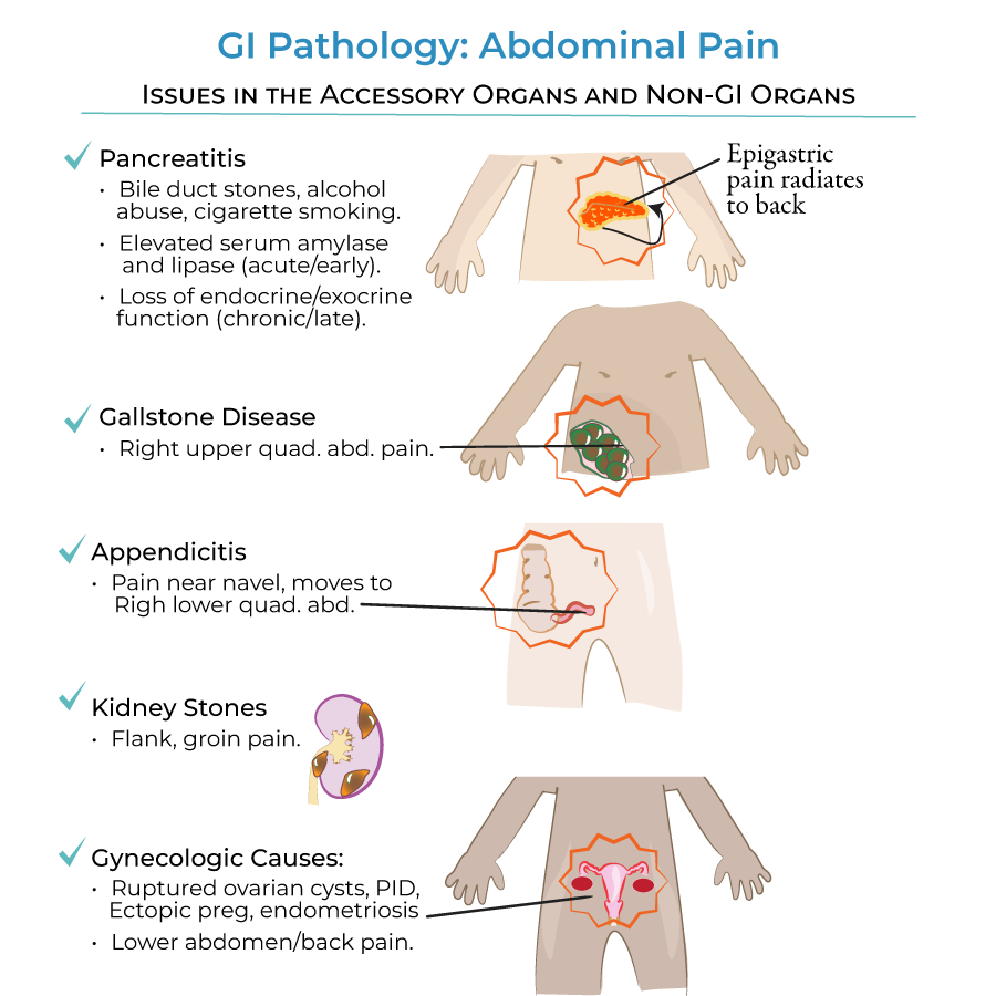 pancreatitis, appendicitis, gallstones, kidney stones, gynecological pain