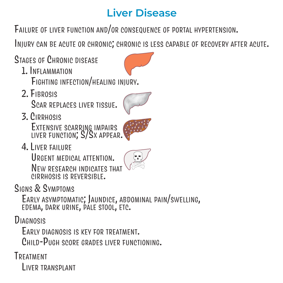 liver disease staging