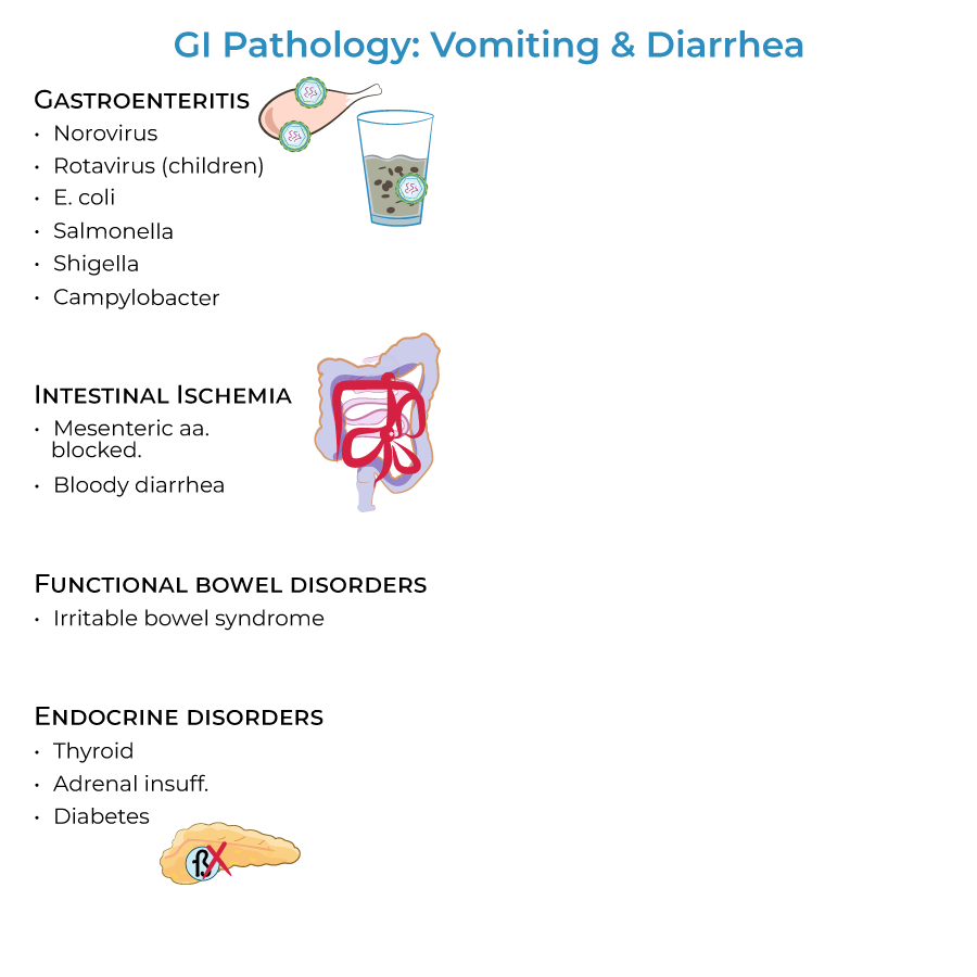 nausea vomiting gastroenteritis, intestinal ischemia, functional bowel disorders, 